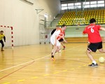 Slika U obranu kao tigar!
